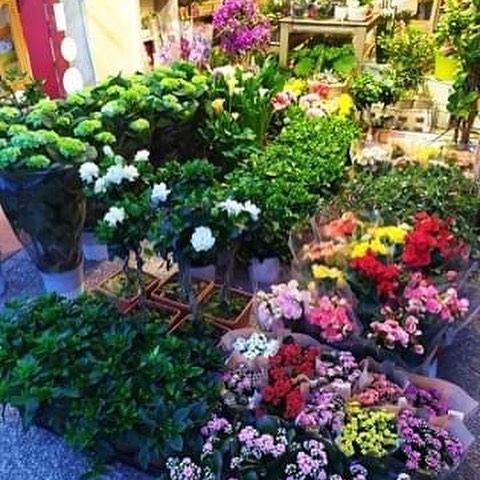 Ανθοπωλείο