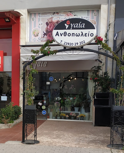 Ανθοπωλείο