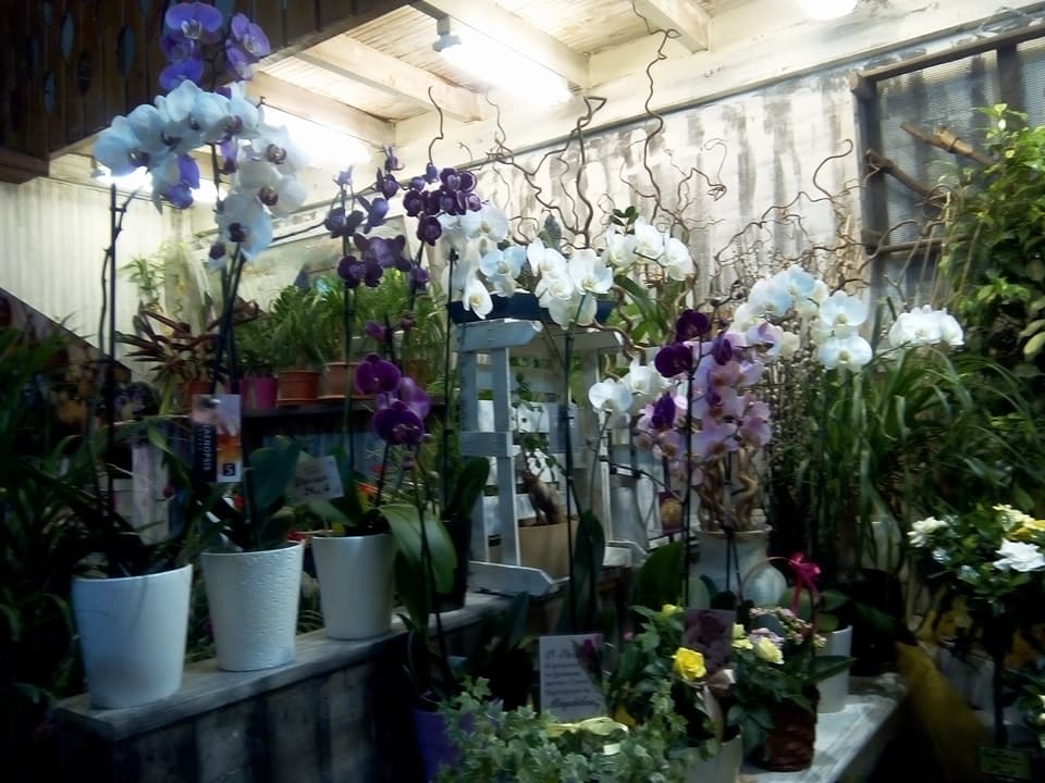 Ανθοπωλείο